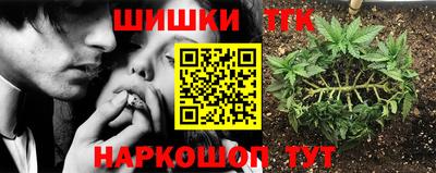 скорость Пугачёв
