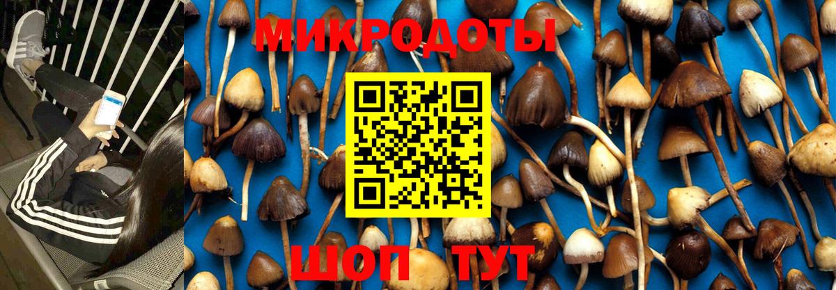 Саров  Галлюциногенные грибы Psilocybe  Вход с VPN 