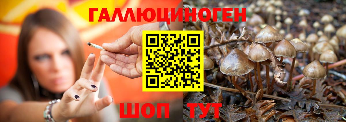 Галлюциногенные грибы GOLDEN TEACHER Саров